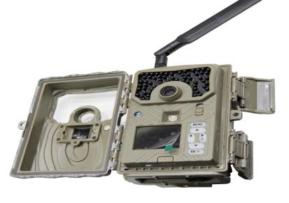 欧尼卡AM-38动物抓拍相机应用梅花山保护区