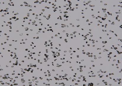 氮硼科技 立方氮化硼微粉 CBN微粉 可用于抛光研磨