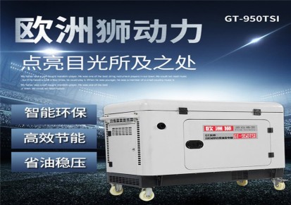 稀土永磁5KW柴油发电机欧洲狮动力GT-650TSI