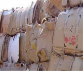 废纸书本报纸回收 上门取货再生资源利用 废品回收