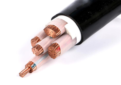 WDZ-YJ(F)Y 铜芯低烟无卤阻燃电缆 天行电缆