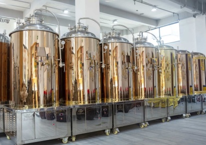 宜宾啤酒设备厂家 300L啤酒设备 糖化系统三合一