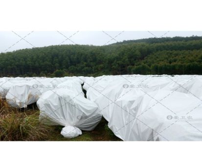 爱卫农 双覆膜规格防寒布报价 葡萄树用的防寒布企业