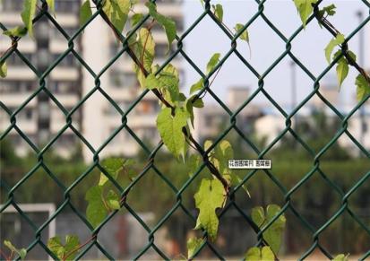 杭达丽水包塑勾花网绿色球场围栏网生产销售安装