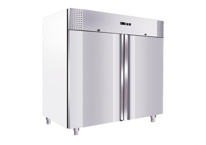 安庆商用冷柜批发 双门冰箱大容量冷柜 GD ASIAN厂家直销