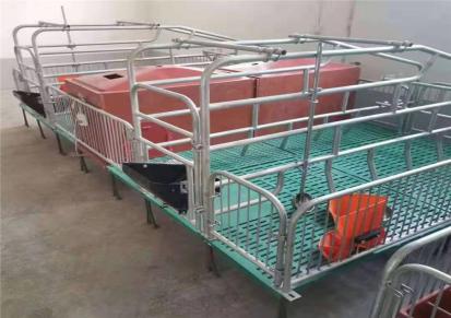 牧嘉养殖设备 产床 一床两用 双体母猪位 定位栏