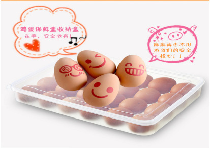厂家直销 单层24格塑料蛋托冰箱鸡蛋收纳盒鸡蛋冷藏储物盒鸡蛋盒