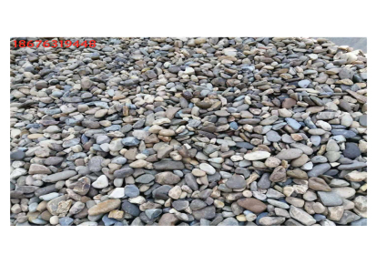 英德市望埠镇宏业奇石场主营园林鹅卵石 价格实惠 现货河卵石图片