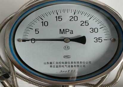 益阳高温熔体指针压力表 高温场压力的测量