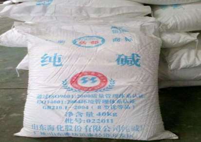 上海嘉定纯碱供应商 碳酸钠 质量优良