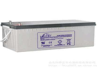 LEOCH蓄电池DJM12225理士蓄电池12V225AH直流屏机房应急电源配套