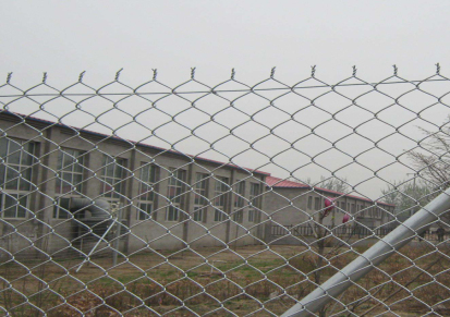 壮裕体育场勾花护栏 运动场勾花护栏网生产加工勾花网