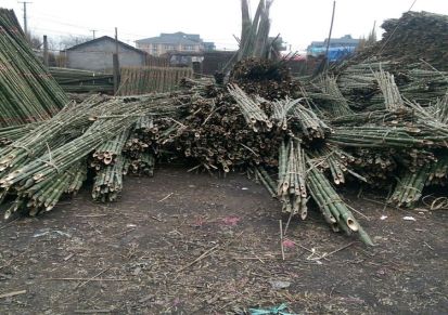 厂家直销优质毛竹 农用竹竿 大棚小竹 绿化用竹梢,规格齐全