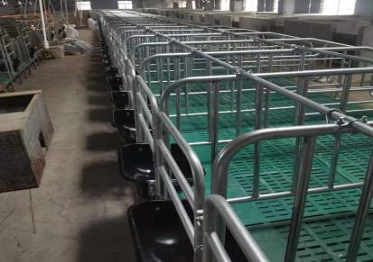 桐跃养殖养猪设备复合冷镀母猪产床限位栏猪用产保一体产床