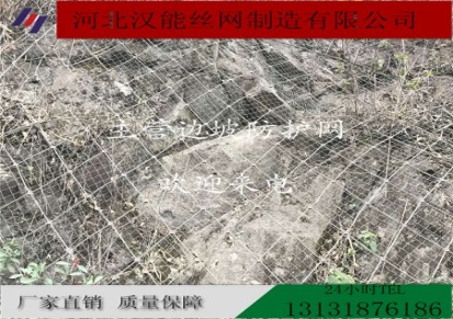 汉能边坡 国标钢丝绳网 主动边坡防护网现货 主动防护网国标供应