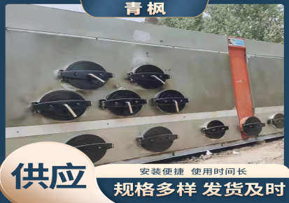 青枫销售 二手生物质热水锅炉 常压立式供暖学校使用