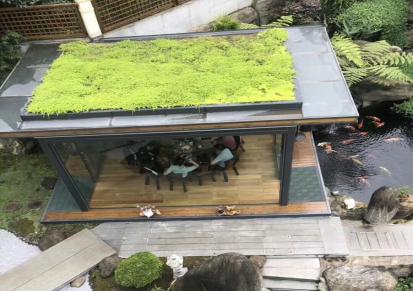 四川防腐木花架 紫罗兰 屋顶花园装修设计
