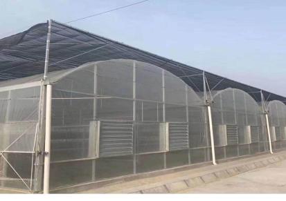 天津生产厂家 可定制加工热镀锌大棚管 种植蔬菜水果棚 鑫利达大棚架