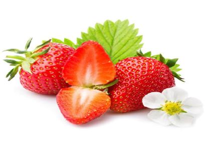 山东甜宝草莓苗批发价格多少钱一棵