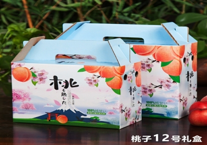 湖南纸箱包装厂 脐橙包装定制 邵阳水果礼盒定制 水果通用包装盒 彩盒厂