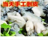 东山岛鲜活海鲜 海蛎肉 水产批发