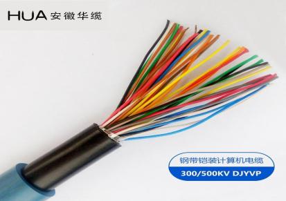 安徽华缆钢带铠装计算机电缆 DJYVP系列 电子计算机电缆 合肥电缆厂家直销