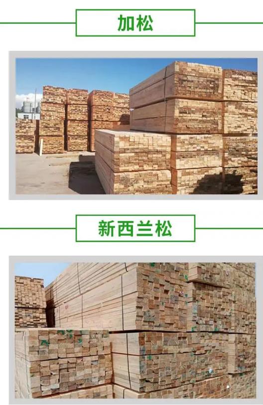 徐州木方的规格,5X10方木
