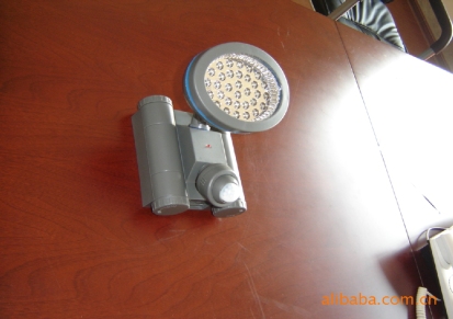 志博LED户外防雨感应灯（4节干电池）