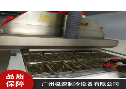 衡阳市海捕虾液氮速冻生产线广州极速JSSD液氮速冻生产线批发供应