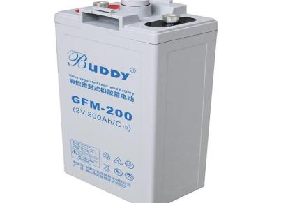 原装BUDDY宝迪蓄电池GFM-1000 纯铅隔板电瓶 机房UPS不间断电源