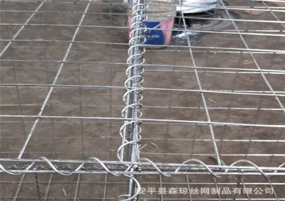 厂家生产河道专用电焊石笼网 水利工程石笼网 装饰石笼网箱等产品