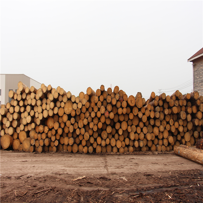 厂家批发 松木工地木方 可烘干板材 辉通木材
