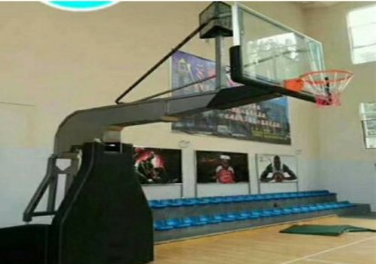 双林 优质篮球架批发生产 篮球架 供应篮球架