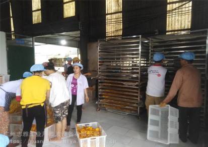 热销越南泰国柬埔寨缅甸-全自动芒果烘干设备-水果烘干设备-一次性买12台