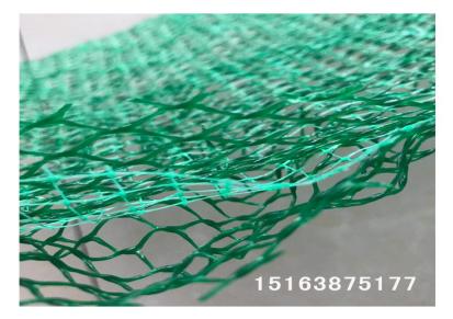 厂家定制生态修复 三维植被网热销产品植草堤坝EM3三维植被网