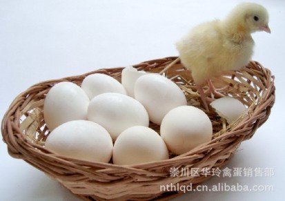 常年批发供应绿色食品土鸭蛋 鸭蛋 新鲜鸭蛋