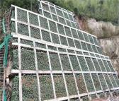 江苏扬州植生袋 矿山修复绿色草籽植生袋 河道绿化护坡生态袋