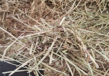 麦草方捆 麦秸秆压捆 青麦草 喜羊羊牧业