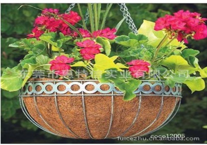 铁线椰棕篮，花园椰棕篮，铁线椰棕花盆，coco hanging basket