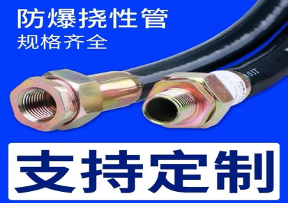 BNG-电缆线保护防爆挠性连接管浙创防爆