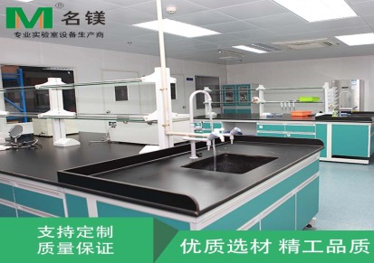惠州学校全钢实验台 实验室家具中央台学校化学物理实验台定制厂家