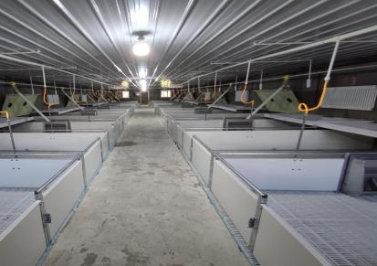 郑州汉森定位栏 母猪限位栏 产床 保育床 猪场栏位定制