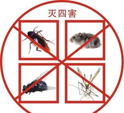 潍坊安丘灭臭虫灭跳蚤灭白蚁蚂蚁专业杀虫公司